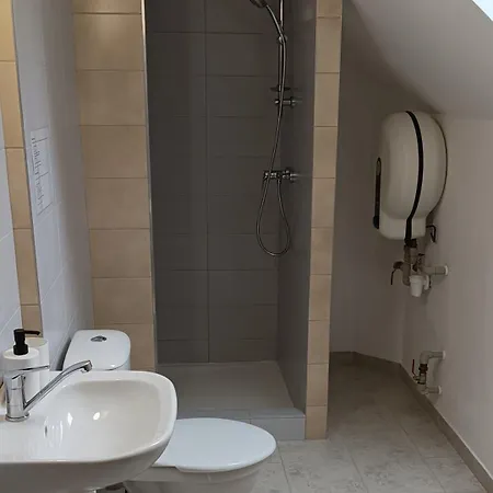 ゲストハウス U Tajcu Dolni Berkovice